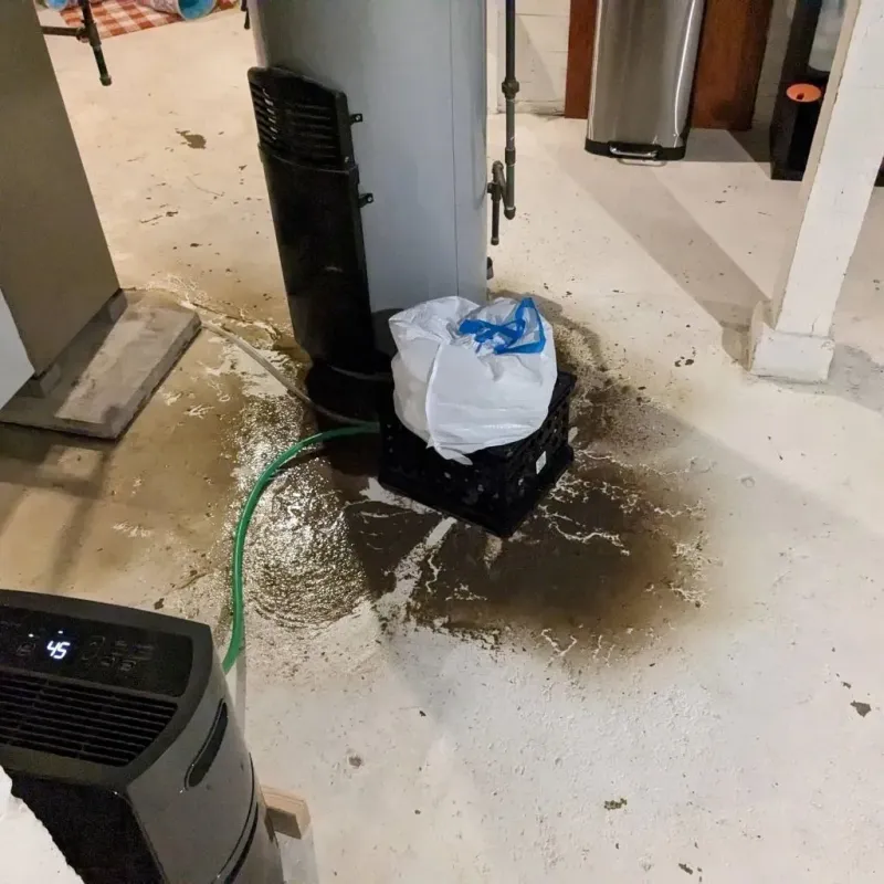 Sewage Backup Cleanup Service in Lewiston, CA